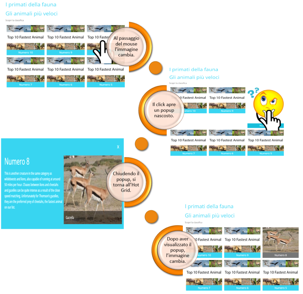 SCORM EDITOR Hot Grid